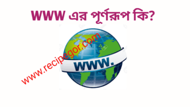 WWW এর পূর্ণরূপ কি,WWW Full Meaning www full form