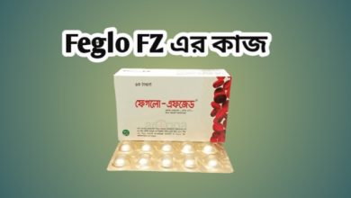 Feglo-FZ-এর-কাজ-কি